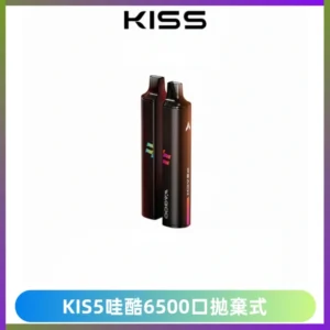 KIS5WAGOO哇酷6500口拋棄式 | 自由混搭雙口味 | 雙芯組合