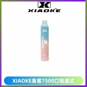 XIAOKE梟客7500Puffs跑馬燈拋棄式電子煙 可發光一次性
